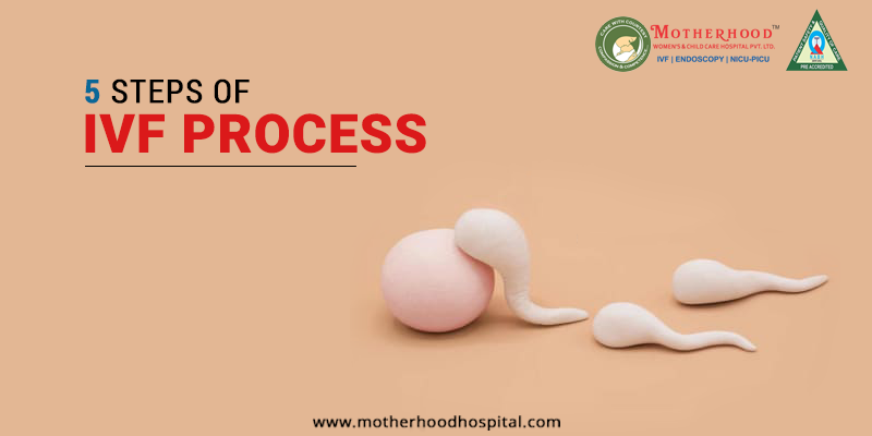 Steps of IVF Process